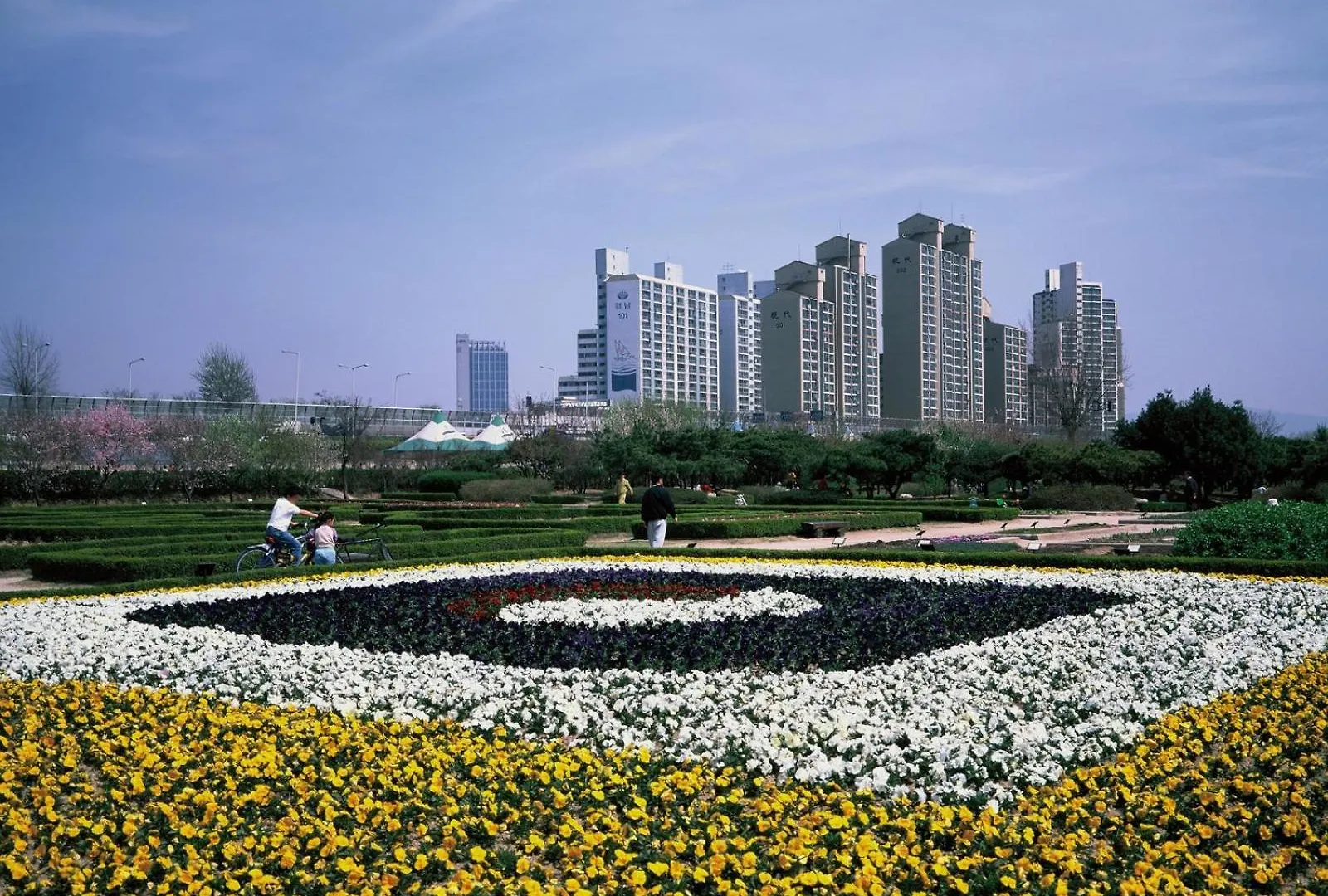 Close To Gangnam, Coex, Asan Medical Centar & Luxury Apartment Near Lotte World, Free Korean Ramen Seoul